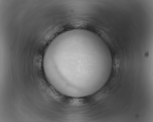 X0000116510664200912231234