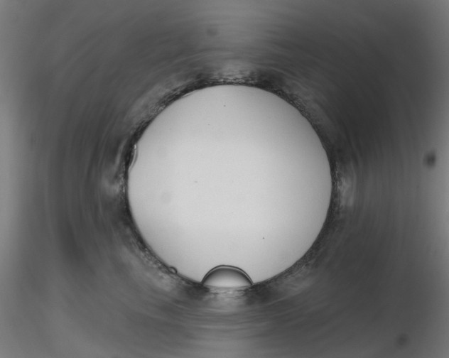 X0000116510665200912231234