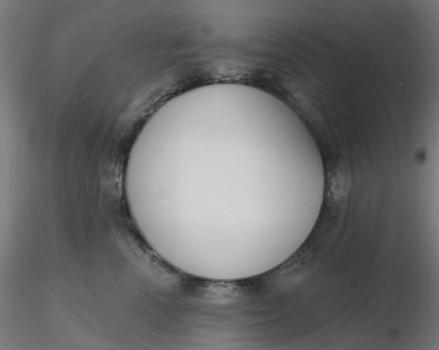 X0000116510666200912231234