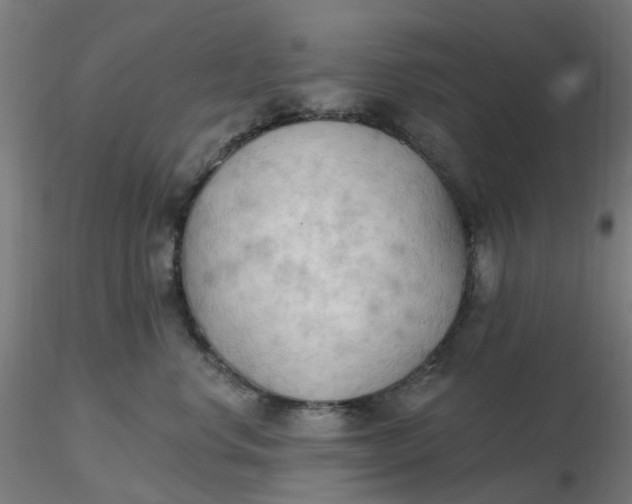 X0000116510668200912231234