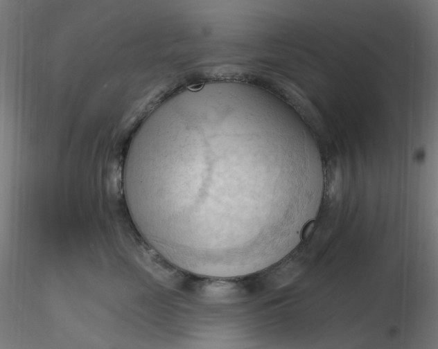 X0000116510669200912231234