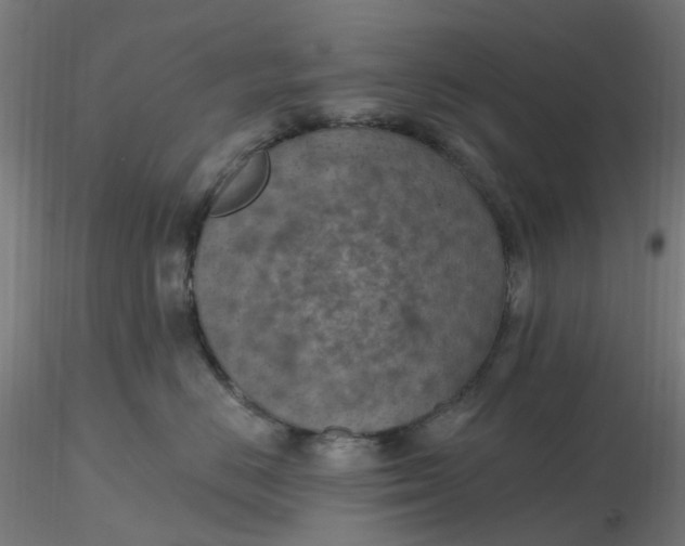 X0000116510670200912231234