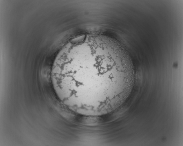 X0000116510671200912231234