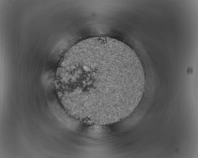 X0000116510672200912231234