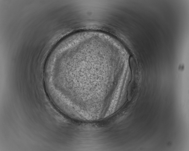 X0000116510673200912231234