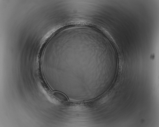 X0000116510674200912231234