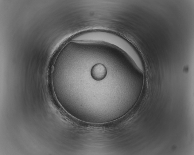 X0000116510676200912231234