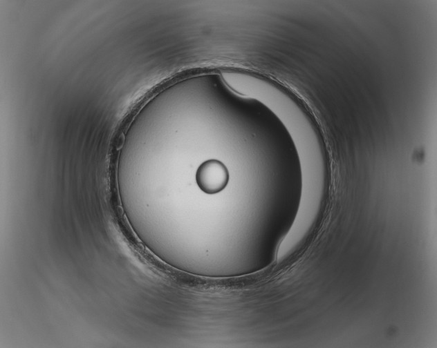 X0000116510677200912231234