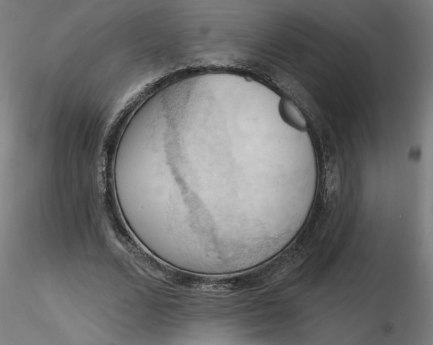 X0000116510680200912231234