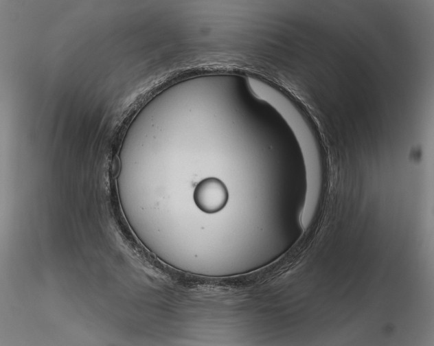 X0000116510681200912231234