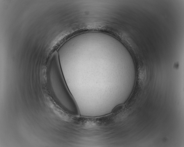 X0000116510684200912231234