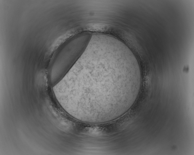 X0000116510688200912231234