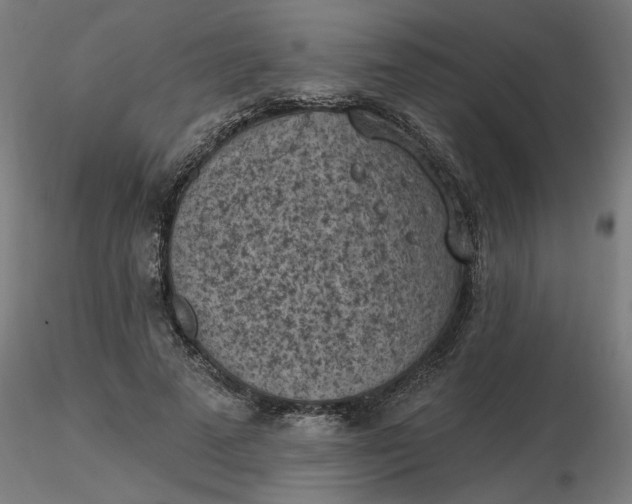 X0000116510689200912231234