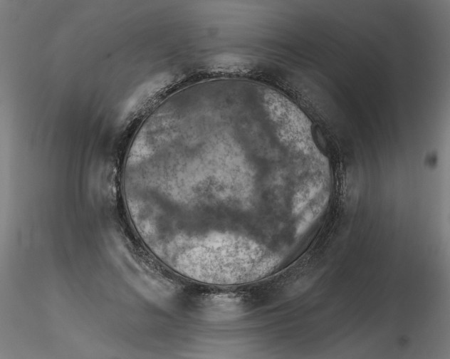 X0000116510692200912231234