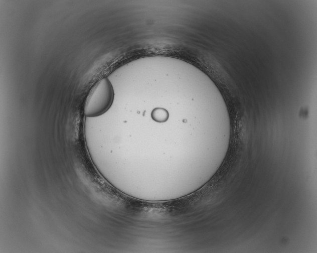 X0000116510694200912231234