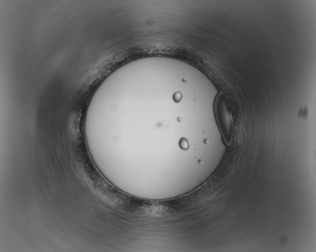 X0000116510695200912231234