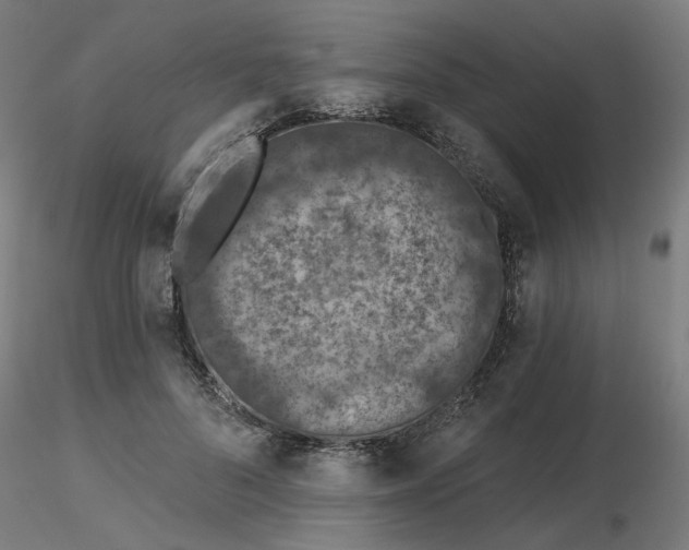 X0000116510696200912231233