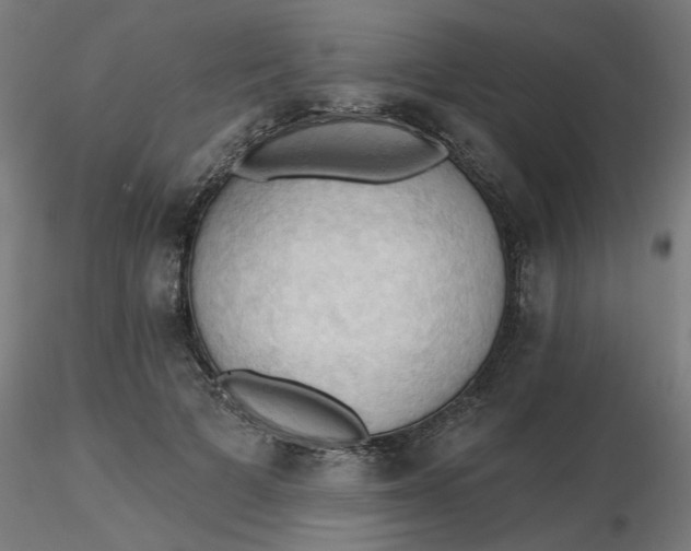 X0000116510697200912231233