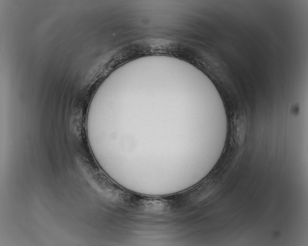 X0000116510698200912231233