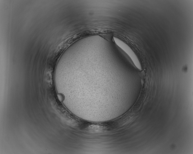 X0000116510699200912231233