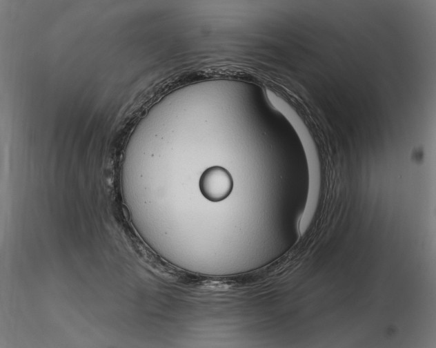 X0000116510701200912231233