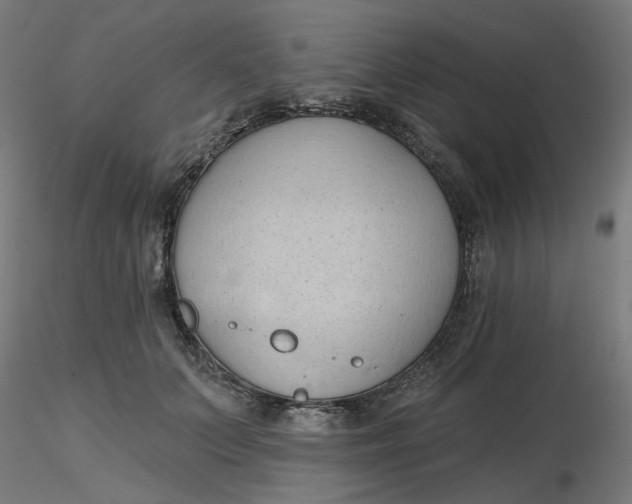 X0000116510703200912231233