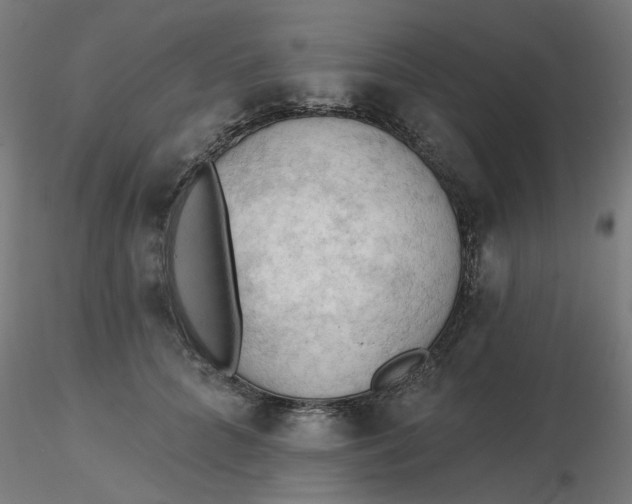 X0000116510704200912231233