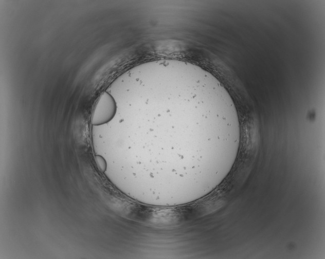 X0000116510705200912231233