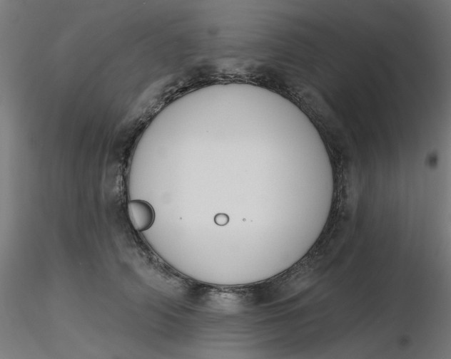 X0000116510706200912231233