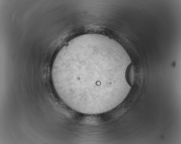 X0000116510708200912231233