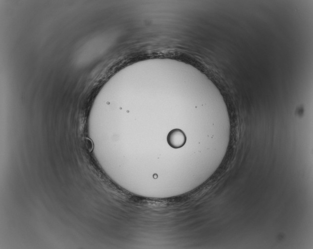 X0000116510709200912231233