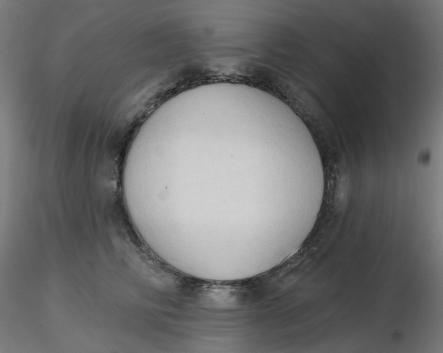 X0000116510710200912231233