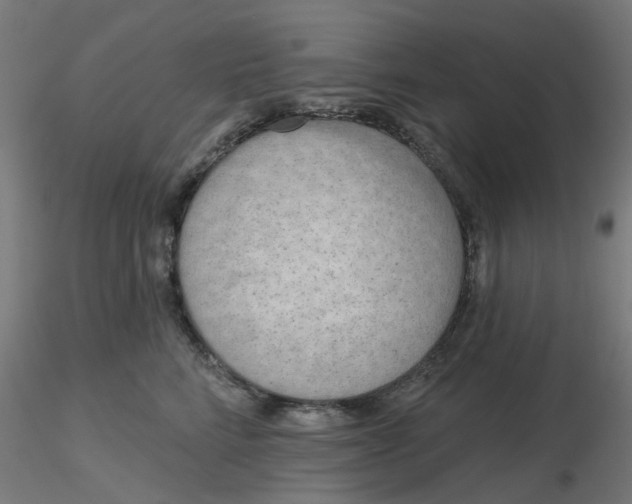 X0000116510712200912231233