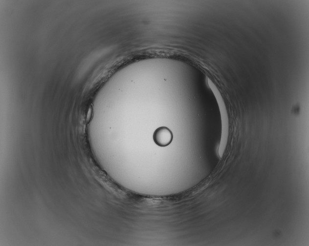 X0000116510713200912231233