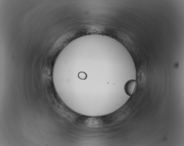 X0000116510714200912231233