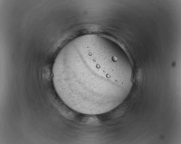 X0000116510715200912231233