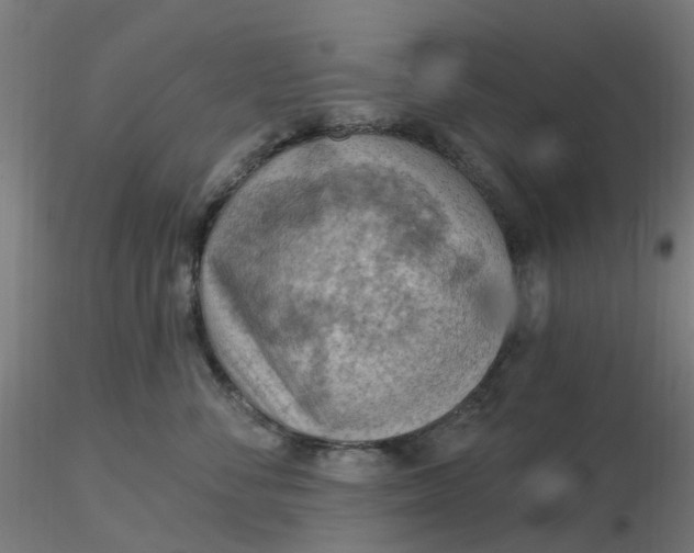 X0000116510716200912231233