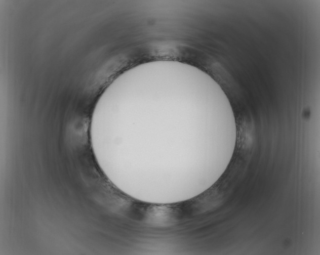 X0000116510717200912231233