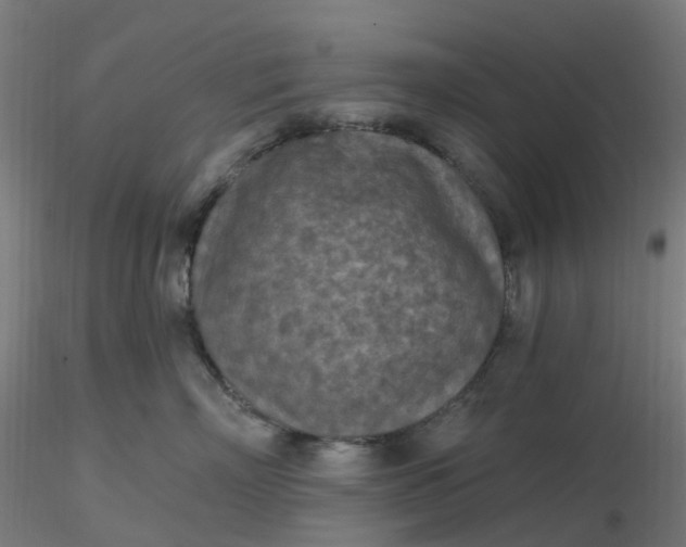 X0000116510718200912231233