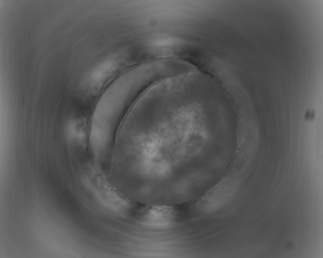 X0000116510720200912231233