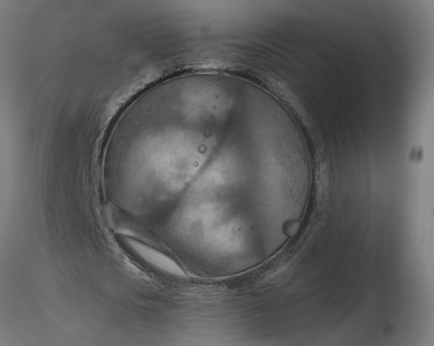 X0000116510721200912231233