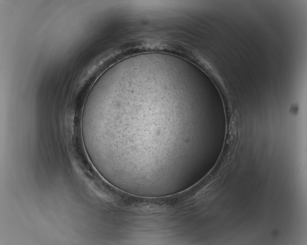 X0000116510722200912231233