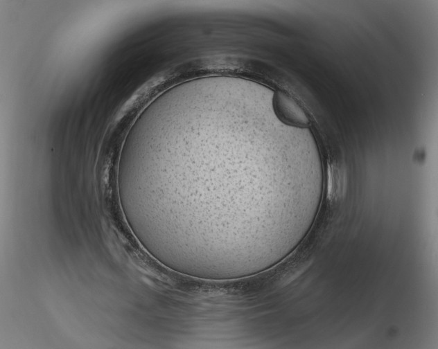 X0000116510723200912231233