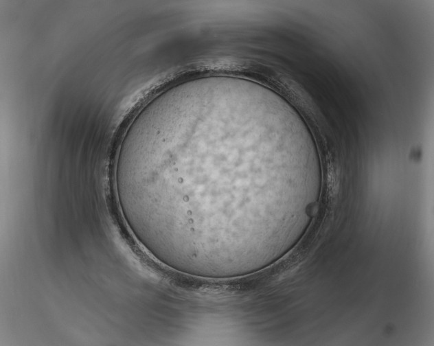 X0000116510725200912231233