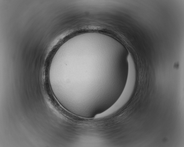 X0000116510726200912231233