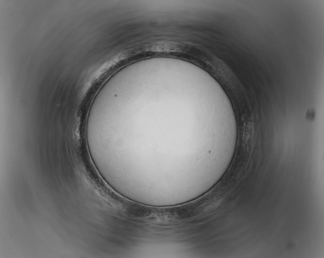 X0000116510727200912231233