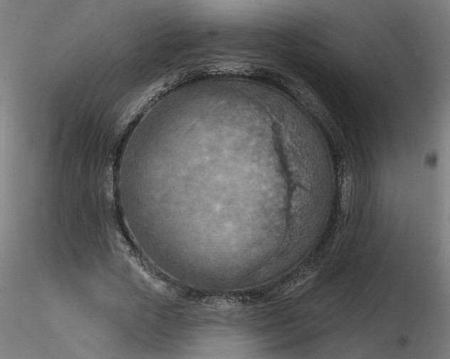 X0000116510729200912231233