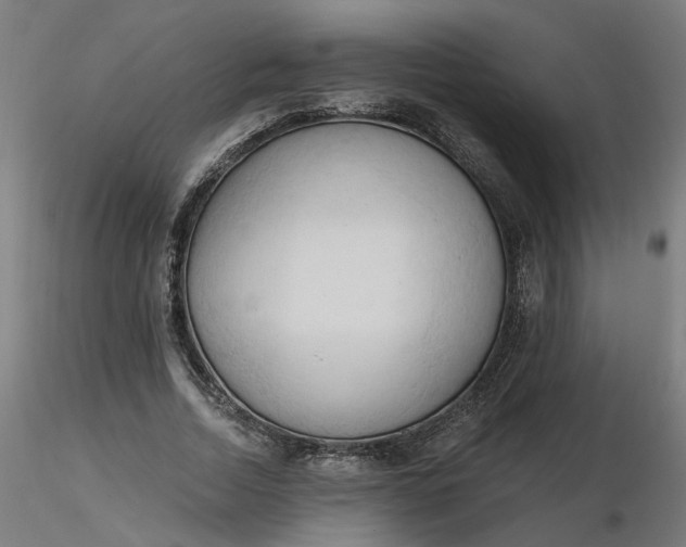 X0000116510730200912231233