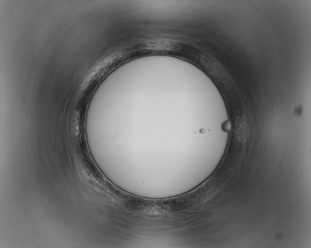 X0000116510731200912231233