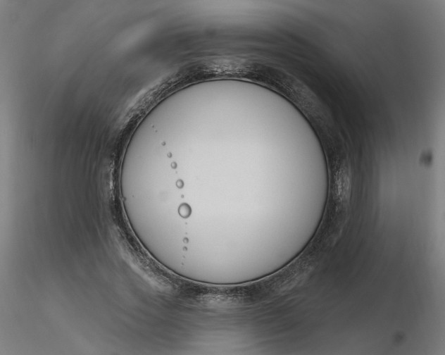 X0000116510733200912231233